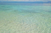 3 Khai and Rungyai Full day private speed boat