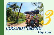 Coconut Island: Day Tour