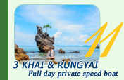 3 Khai and Rungyai Full day private speed boat