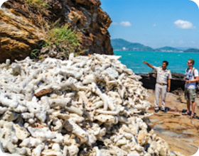 Koh Tapao Noi Discovery Half Day Tour