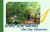 Khao Sok Safari One Day Discovery