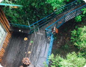 Khao Sok Two Days Tour: Overnight on the trees