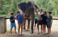 Two Days Overnight in Jungle