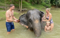 Two Days Overnight in Jungle