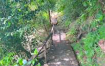 4 Days 3 Nights Similan, Surin and Khaolak Overnight