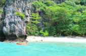 Phi Phi and Bamboo Island Day Tour by Catamaran