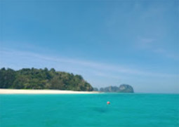 Phi Phi and Bamboo Island Day Tour by Catamaran