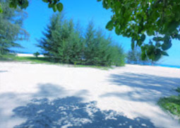 Phi Phi and Bamboo Island Day Tour by Catamaran