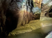 2 Days 1 Night Similan + Discovery Overnight Khaolak