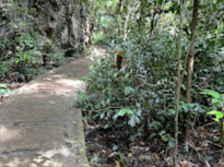 2 Days 1 Night Similan + Discovery Overnight Khaolak