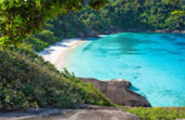 2 Days 1 Night Similan + Discovery Overnight Khaolak
