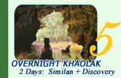 2 Days 1 Night Similan + Discovery Overnight Khaolak