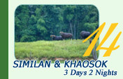 Similan and Khaosok National Park 3 Days 2 Nights