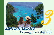 Similan Island - Evening back day trip
