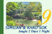 Similan with Khao Sok Jungle 2 Days 1 Night