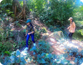 Two Days Overnight in Jungle