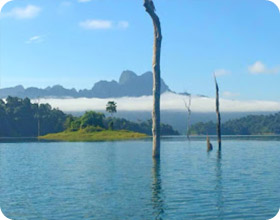 Similan and Khaosok National Park 3 Days 2 Nights