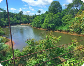 Two Days Khaosok and Lake Tour