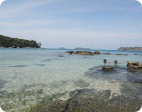 Koh Bon Only Half Day Tour