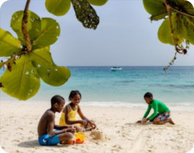 Similan Island - Evening back day trip