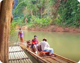 Similan with Khao Sok Jungle 2 Days 1 Night
