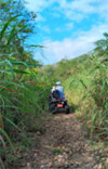 Package Phuket, Racha Island, Bamboo Rafting, ATV Adventure