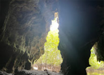 3 Days 2 Nights: Phuket Racha and Kayak