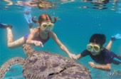 Similan Islands and Dam 2 Days 1 Night