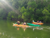 Similan Archipelago - Prathong hidden Island 2 Days