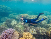 2 Days 1 Night Similan Island and Surin Island