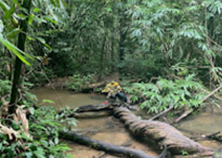 Similan + Tubing Adventure. 2 Days Overnight Khaolak