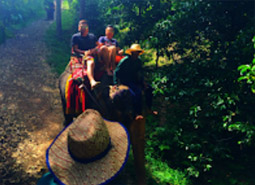 4 Days 3 Nights. The Connecting Package