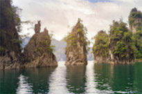 Two Days Overnight in Jungle