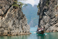 Two Days Overnight in Jungle