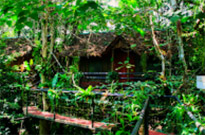 The Deep Wild Immersion: Khao Sok 3 Days