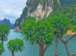 Difference - You 3 Days 2 Nights