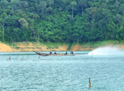 Difference - You 3 Days 2 Nights