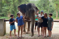 Khao Sok Day Tour Jungle Trek