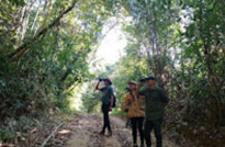 Khao Sok Day Tour Jungle Trek