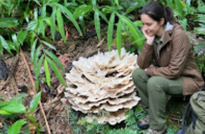 Khao Sok Day Tour Jungle Trek