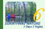 Surathani Nature 3 Days 2 Nights