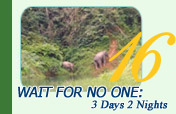 Wait for no one: 3 Days 2 Nights