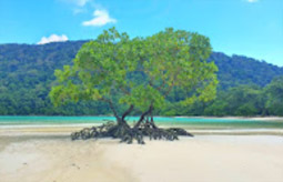 Mountain, Lake and Islands 3 Day 2 Nights