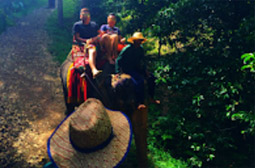 Surathani Nature 3 Days 2 Nights