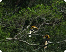 The Deep Wild Immersion: Khao Sok 3 Days