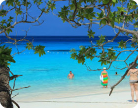 Surat Surin Nature Open: 4 Days 3 Nights