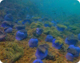 Difference - You 3 Days 2 Nights