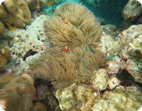 Mountain, Lake and Islands 3 Day 2 Nights