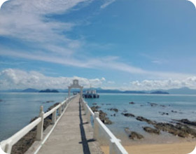 Along the South: 10 Days