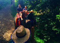 Two Days Overnight in Jungle